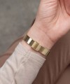 Daniel Wellington Petite Reflection DW00100797