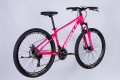 Formula Motion DD FR 27.5 2025 frame 16