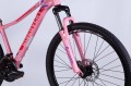 Discovery Mystique DD CS 2025