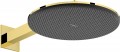 Hansgrohe Raindance Alive S 300 24540000