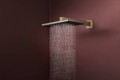 Hansgrohe Raindance Alive Q 340 24530000