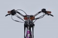 Dorozhnik eRUBY DD FR 500W 2025