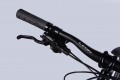 Leon TN 80 HDD 29 2025 frame 17