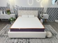 Family Sleep Pansy