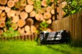Cedrus C-MOW-M6+