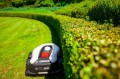 Cedrus C-MOW-M6+