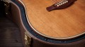Taylor Gold Label 810e