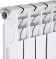 Thermo Alliance Bi-Ferrum 500/80