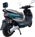 Forte Striker