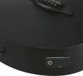 Ibanez AEG621