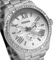 FOSSIL AM4481