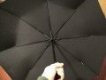 Xiaomi Mijia Automatic Umbrella