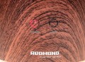 Redmond RHF-3307