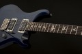 PRS S2 Custom 24