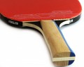 Butterfly Timo Boll Silver