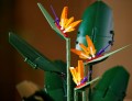 Lego Bird of Paradise 10289