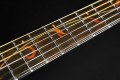 Ibanez AE2912