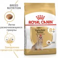 Royal Canin Yorkshire Terrier 8+ 0.5 kg