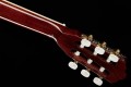 Harley Benton Custom Line Nashville Nylon