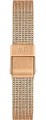 Daniel Wellington DW00100432