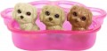 Barbie Doll And And Newborn Pups Playset With Dog HCK75