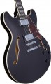 DAngelico Premier DC