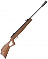 Beeman Hound GP