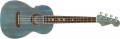 Fender Dhani Harrison Ukulele