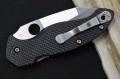 Spyderco Canis C248CFP