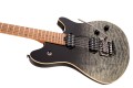 EVH Wolfgang WG Standard QM