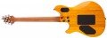 EVH Wolfgang WG Standard QM