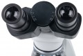 DELTA optical Genetic Bino