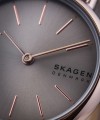 Skagen Signatur Lille SKW3060