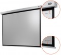 Celexon Electric Professional Plus 4:3