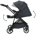 Chicco Seety 2 in 1