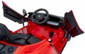 Pilot Lamborghini Invencible