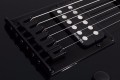 Schecter PT