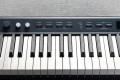 Kurzweil KA-P1