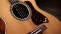 Taylor Gold Label 814e