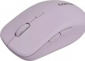 Canyon CNS-CMSW12