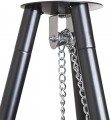 Levistella LV210719T