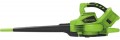 Greenworks GD24X2BV 2405307