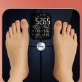 Webber Bonita SBS-1321B