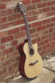 Cort Gold OC8 Nylon