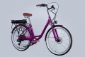 Dorozhnik eRUBY DD FR 17.5 Ah 500W 2025