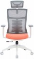 OfficePro Balance OC550