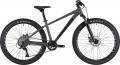 Winner Solid FX 26 2025