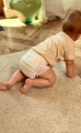 Unijoy Premium Diapers 3