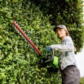 Greenworks GD60HT66 2206507