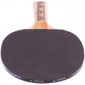 Donic Champs 150 Set